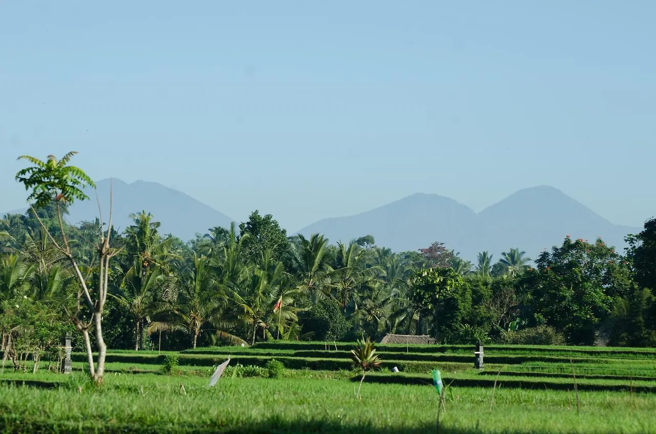 롯지 Cenik Villa Ubud 인도네시아